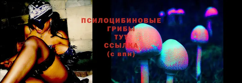 Галлюциногенные грибы Magic Shrooms  купить закладку  Лебедянь 